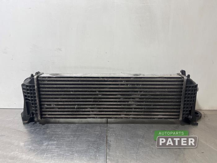 Gebruikte Intercooler Iveco New Daily VI 33.180,35.180,52.180,60.180, 70.180. 72.180 Prijs € 190,58 Inclusief btw aangeboden door Autoparts Pater