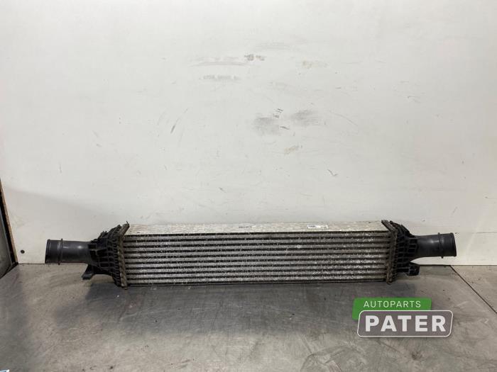 Gebruikte Intercooler Audi Q5 (8RB) 2.0 TDI 16V Quattro Prijs € 42,00 Margeregeling aangeboden door Autoparts Pater