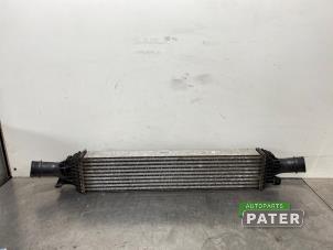 Gebruikte Intercooler Audi Q5 (8RB) 2.0 TDI 16V Quattro Prijs € 42,00 Margeregeling aangeboden door Autoparts Pater