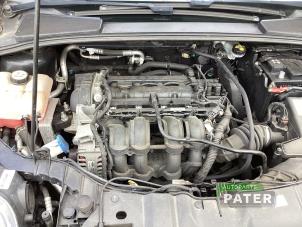 Gebruikte Motor Ford Focus 3 Wagon 1.6 Ti-VCT 16V 125 Prijs € 840,00 Margeregeling aangeboden door Autoparts Pater