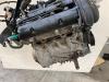 Motor van een Ford Fiesta 6 (JA8), 2008 / 2018 1.25 16V, Hatchback, Benzine, 1.242cc, 44kW (60pk), FWD, STJA, 2008-06 / 2017-04 2009