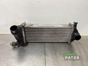 Gebruikte Intercooler Renault Kangoo Express (FW) 1.5 dCi 90 FAP Prijs € 57,17 Inclusief btw aangeboden door Autoparts Pater