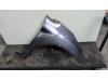 Ford Fiesta 6 (JA8) 1.25 16V Scherm rechts-voor