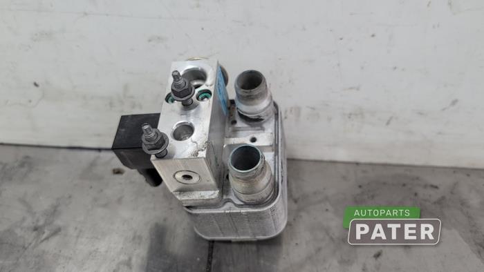 Gebruikte Warmtewisselaar Peugeot 208 II (UB/UH/UP) e-208 50 kWh Prijs € 31,50 Margeregeling aangeboden door Autoparts Pater