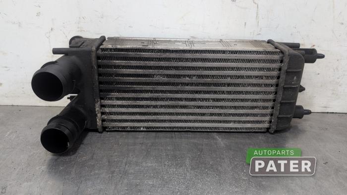 Gebruikte Intercooler Peugeot 508 SW (8E/8U) 1.6 HDiF 16V Prijs € 26,25 Margeregeling aangeboden door Autoparts Pater