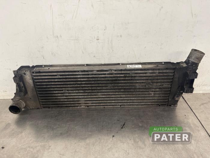Gebruikte Intercooler Renault Megane II (BM/CM) 1.9 dCi 120 Prijs € 21,00 Margeregeling aangeboden door Autoparts Pater