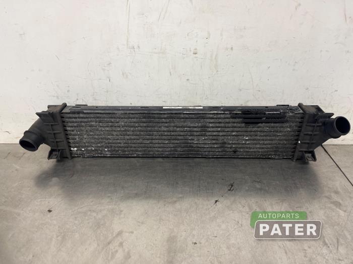 Gebruikte Intercooler Ford S-Max (GBW) 2.0 TDCi 16V 140 Prijs € 21,00 Margeregeling aangeboden door Autoparts Pater