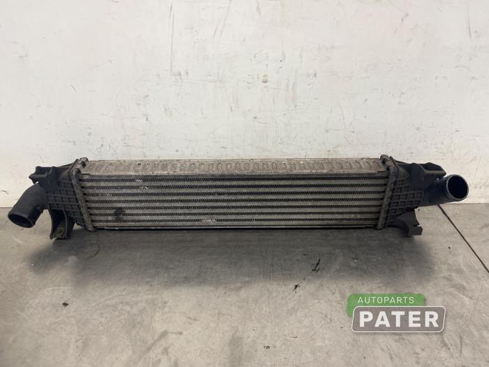 Gebruikte Intercooler Ford Focus C-Max 1.6 TDCi 16V Prijs € 26,25 Margeregeling aangeboden door Autoparts Pater