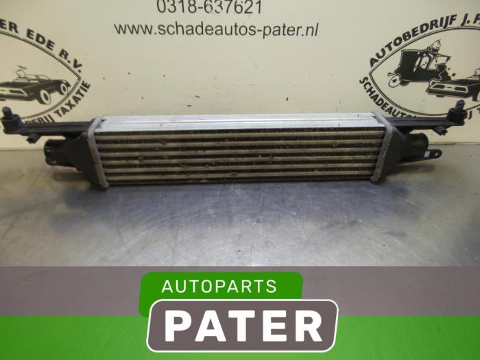 Gebruikte Intercooler Fiat Punto Evo (199) 1.3 JTD Multijet 85 16V Euro 5 Prijs € 21,00 Margeregeling aangeboden door Autoparts Pater