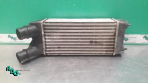 Gebruikte Intercooler Citroen Berlingo 1.6 Hdi 75 16V Phase 1 Prijs € 20,00 Margeregeling aangeboden door Autodemontagebedrijf Otte