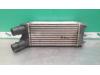 Intercooler van een Citroen Berlingo, 2008 / 2021 1.6 Hdi 75 16V Phase 1, Bestel, Diesel, 1.560cc, 55kW (75pk), FWD, DV6BUTED4; 9HT, 2008-04 / 2011-11 2008