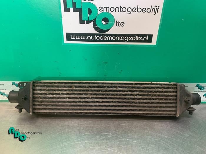 Gebruikte Intercooler Fiat Bravo (198A) 1.9 JTD 16V Multijet 150 Prijs € 50,00 Margeregeling aangeboden door Autodemontagebedrijf Otte