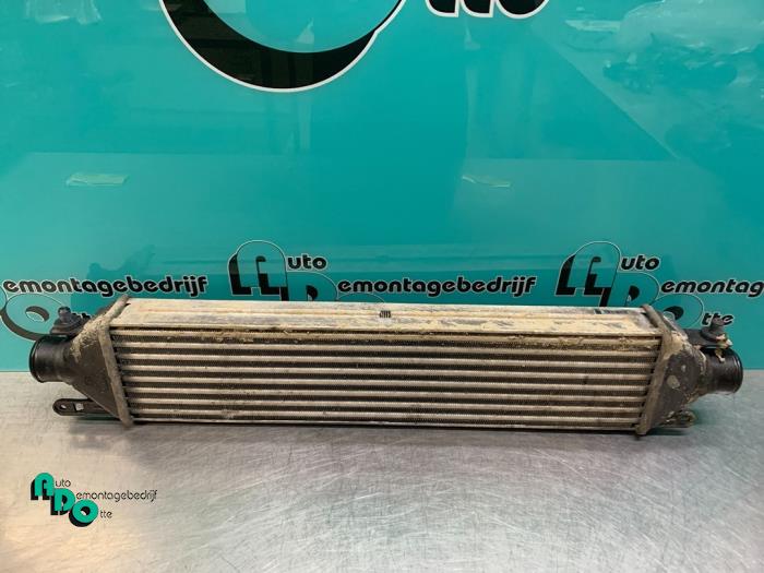 Gebruikte Intercooler Fiat Doblo Cargo (263) 1.6 D Multijet Prijs € 60,00 Margeregeling aangeboden door Autodemontagebedrijf Otte