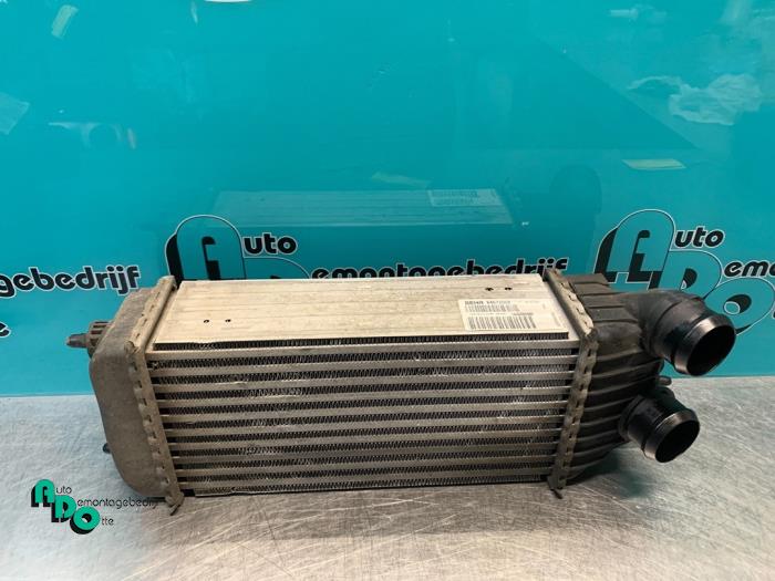 Gebruikte Intercooler Peugeot Expert (G9) 1.6 HDi 90 Prijs € 30,00 Margeregeling aangeboden door Autodemontagebedrijf Otte