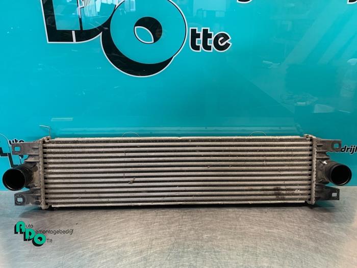 Gebruikte Intercooler Opel Movano (4A1; 4A2; 4B2; 4B3; 4C2; 4C3) 1.9 CDTI Prijs € 30,00 Margeregeling aangeboden door Autodemontagebedrijf Otte