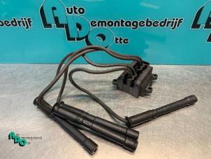 Gebruikte Bobine Renault Clio III (BR/CR) 1.2 16V 75 Prijs € 20,00 Margeregeling aangeboden door Autodemontagebedrijf Otte