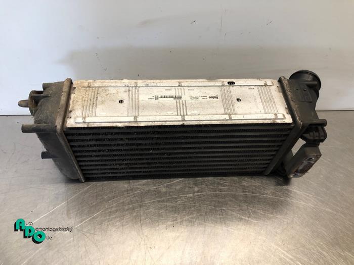 Gebruikte Intercooler Peugeot Partner Tepee (7A/B/C/D/E/F/G/J/P/S) 1.6 HDiF 90 16V Phase 1 Prijs € 20,00 Margeregeling aangeboden door Autodemontagebedrijf Otte