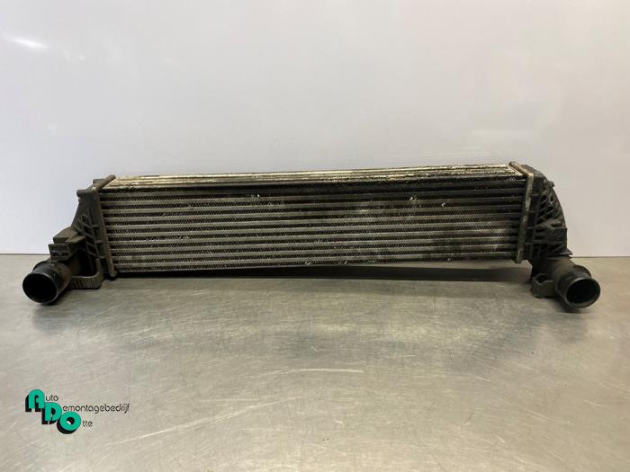 Gebruikte Intercooler Renault Espace (JK) 2.0 dCi 16V 130 FAP Prijs € 25,00 Margeregeling aangeboden door Autodemontagebedrijf Otte