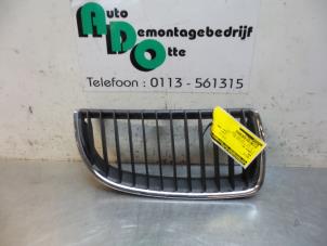 Gebruikte Grille BMW 3-Serie Prijs € 20,00 Margeregeling aangeboden door Autodemontagebedrijf Otte