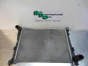 Gebruikte Radiateur Ford Fiesta 5 (JD/JH) 1.4 16V Prijs € 25,00 Margeregeling aangeboden door Autodemontagebedrijf Otte