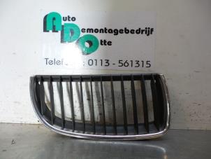 Gebruikte Grille BMW 3-Serie Prijs € 20,00 Margeregeling aangeboden door Autodemontagebedrijf Otte