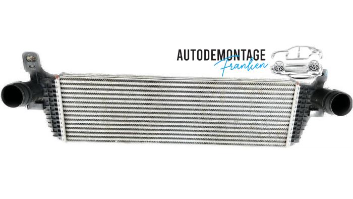 Gebruikte Intercooler Volkswagen Transporter T6 2.0 TSI Prijs op aanvraag aangeboden door Franken Autodemontage B.V.