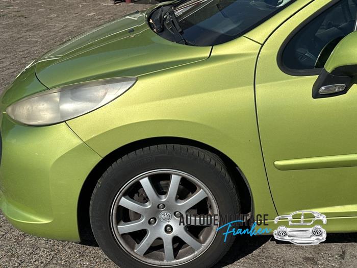 Scherm links-voor van een Peugeot 207/207+ (WA/WC/WM) 1.4 16V 2006