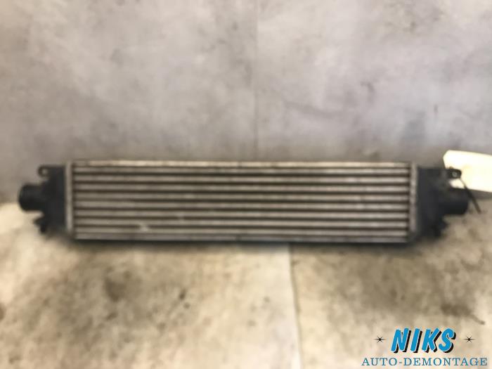 Gebruikte Intercooler Fiat Bravo (198A) 1.6 JTD Multijet 105 Prijs op aanvraag aangeboden door Niks autodemontage