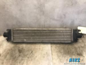 Gebruikte Intercooler Fiat Bravo (198A) 1.6 JTD Multijet 105 Prijs op aanvraag aangeboden door Niks autodemontage