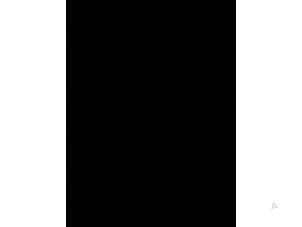 Gebruikte Contactslot + computer Citroen C3 Pluriel (HB) 1.4 Prijs € 150,00 Margeregeling aangeboden door Autosloopbedrijf H.C.Stouten