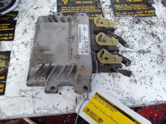 Gebruikte Computer Motormanagement Ford Fiesta 6 (JA8) 1.25 16V Prijs € 100,00 Margeregeling aangeboden door Autodemontage de Zaag