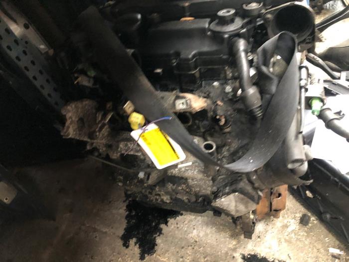 Gebruikte Motor Ford Fiesta 5 (JD/JH) 1.4 TDCi Prijs € 250,00 Margeregeling aangeboden door Autodemontage de Zaag