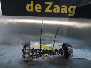 Gebruikte Nokkenas set Ford Focus 3 1.0 Ti-VCT EcoBoost 12V 100 Prijs € 200,00 Margeregeling aangeboden door Autodemontage de Zaag