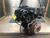 Motor van een Ford Fiesta 6 (JA8), 2008 / 2018 1.25 16V, Hatchback, Benzine, 1.242cc, 44kW (60pk), FWD, STJA; STJB; STJC; STJD, 2008-06 / 2017-04 2009