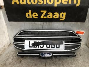 Gebruikte Grille Ford EcoSport (JK8) 1.0 EcoBoost 12V 125 Prijs € 50,00 Margeregeling aangeboden door Autodemontage de Zaag