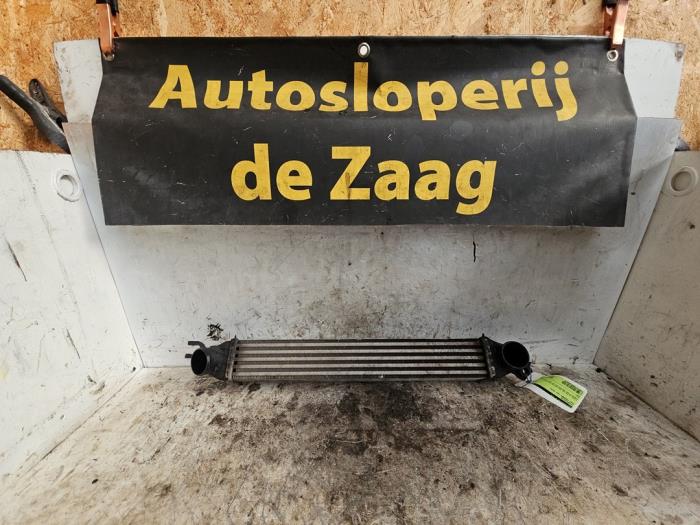 Gebruikte Intercooler Mini Paceman (R61) 1.6 16V Cooper S ALL4 Prijs € 50,00 Margeregeling aangeboden door Autodemontage de Zaag