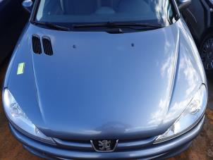 Gebruikte Motorkap Peugeot 206 SW (2E/K) 1.4 16V Prijs € 80,00 Margeregeling aangeboden door Autodemontage de Zaag