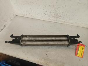 Gebruikte Intercooler Opel Corsa D 1.3 CDTi 16V ecoFLEX Prijs € 35,00 Margeregeling aangeboden door Autodemontage de Zaag