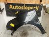 Citroën C3 Picasso (SH) 1.4 16V VTI 95 Scherm links-voor