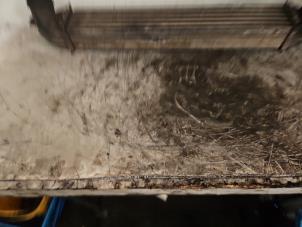 Gebruikte Intercooler Mini Coupe (R58) 2.0 Cooper SD 16V Prijs € 50,00 Margeregeling aangeboden door Autodemontage de Zaag