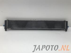 Gebruikte Radiateur Lexus CT 200h 1.8 16V Prijs € 74,95 Margeregeling aangeboden door Japoto Parts B.V.