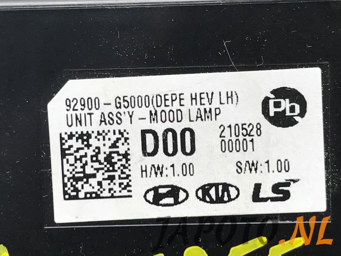 Computer Verlichting van een Kia Niro I (DE) 1.6 GDI Hybrid 2021