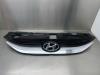 Hyundai iX35 (LM) 2.0 16V Grille