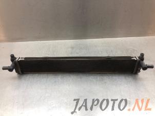 Gebruikte Radiateur Lexus CT 200h 1.8 16V Prijs € 78,70 Margeregeling aangeboden door Japoto Parts B.V.