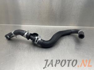 Gebruikte Radiateurslang Kia Niro II (SG2) 1.6 GDI Hybrid Prijs € 31,45 Margeregeling aangeboden door Japoto Parts B.V.