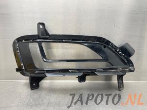 Gebruikte Afdekplaat mistlamp rechts Hyundai Tucson (TL) 1.6 CRDi 16V 48V MHEV Prijs € 20,99 Margeregeling aangeboden door Japoto Parts B.V.
