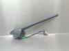 Nissan Juke (F15) 1.6 16V Antenne