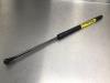 Rear gas strut, right Nissan Primera