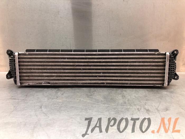 Gebruikte Intercooler Hyundai I30 Fastback Prijs € 314,95 Margeregeling aangeboden door Japoto Parts B.V.