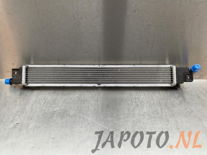 Gebruikte Intercooler Hyundai Tucson (NX) 1.6 T-GDI PHEV 4WD Prijs € 104,95 Margeregeling aangeboden door Japoto Parts B.V.